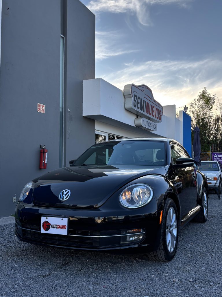 Volkswagen Beetle Sport 2012