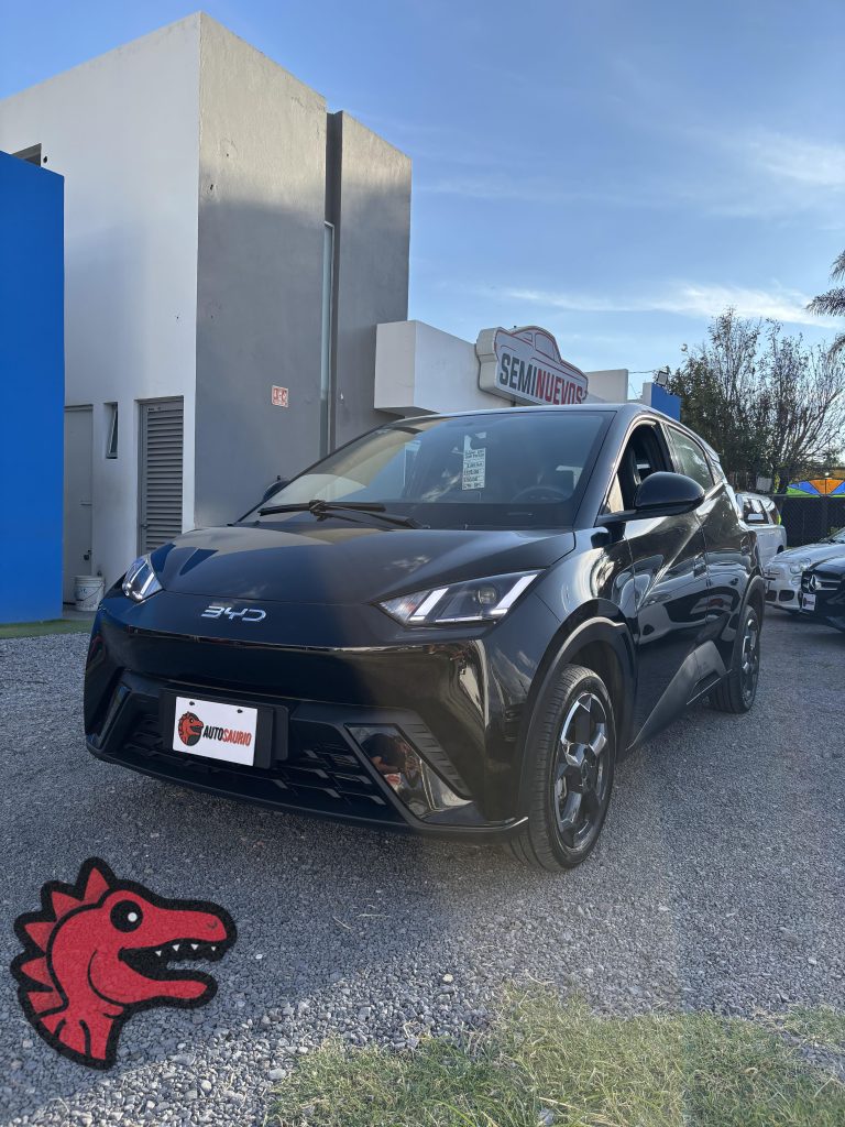 BYD Dolphin mini plus 2025